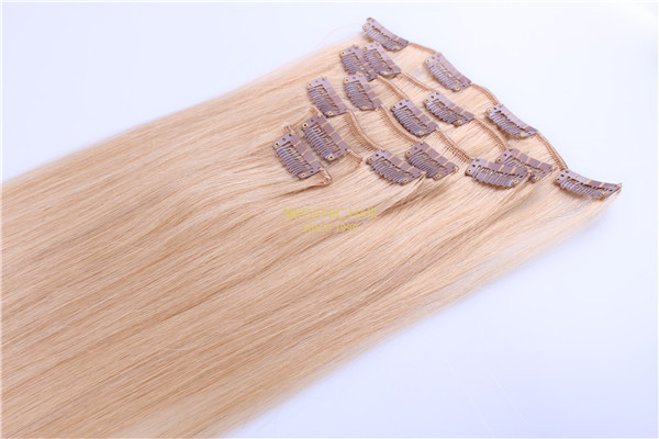 clip in extension remy hair extensions cost